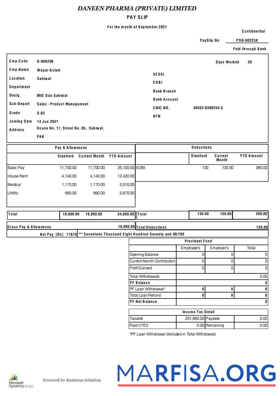 Downloadable Daneen Pharma payslip sample
